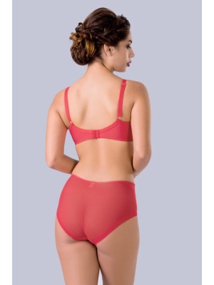 Women's Briefs Ava Figi Big