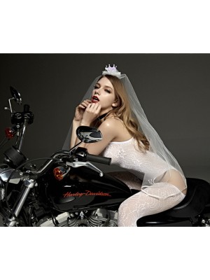 Sexy Erotic Lingery Bride